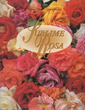 SUBLIME ROSA