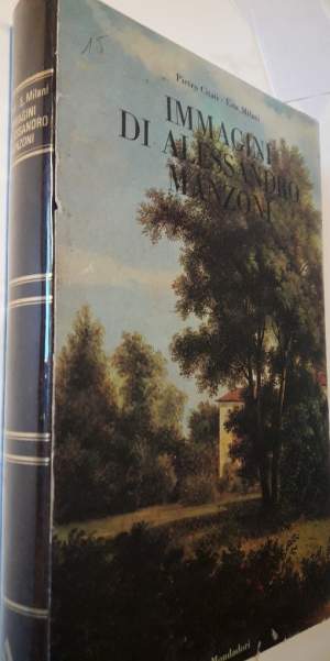 IMMAGINI DI ALESSANDRO MANZONI(1973)