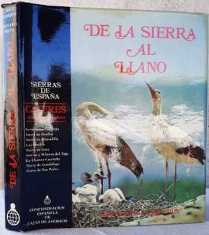 DE LA SIERRA AL LLANO(1979)