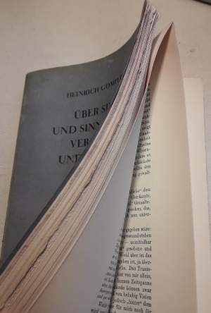 UBER SINN UND SINNGEBILDE VERSTEHEN UND ERKLAREN(1929)