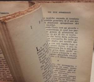 NOI DUE DISARMATI(1946)