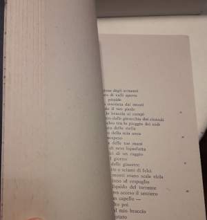 DA QUESTO LATO DEL DILUVIO-CINQUE POEMETTI 1964-1969( 1988)