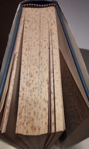 IL RE DALL'ESILIO( 1979)