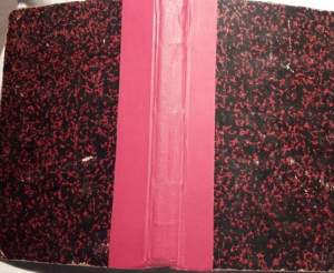 DA ROMA ALLO SPITZBERG-VIAGGIO ED IMPRESSIONI DI DUE IGNORANTI( 1900)