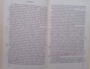 IL SOGNO E IL MONDO INFERO (1984)
