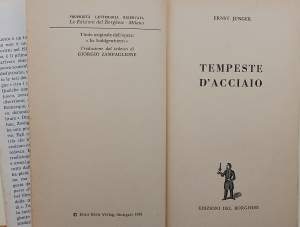 TEMPESTE D'ACCIAIO(1966)