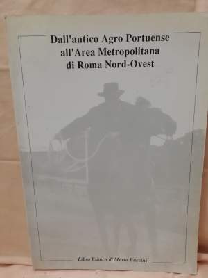 DALL'ANTICO AGRO PONTUENSE ALL'AREA METROPOLITANA DI ROMA NORD-OVEST