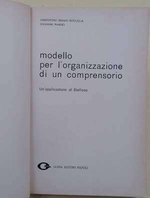 MODELLO PER L'ORGANIZZAZIONE DI UN COMPRENSORIO-UN APPLICAZIONE AL BIELLESE(1975)