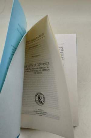 La seta di Cangrande-rituali funerari e distinzioni sociale in Italia nel Medioevo
