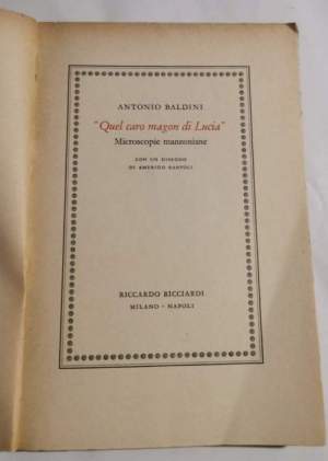 Quel caro magon di Lucia - Microscopie manzoniane