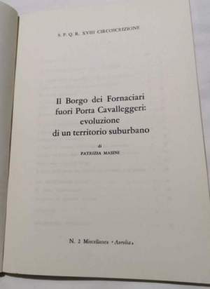 Il Borgo dei Fornaciari fuori Porta Cavalleggeri evoluzione di un territorio suburbano