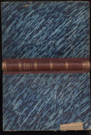 STORIA DELLE DOMINAZIONI GERMANICHE IN ITALIA dal V secolo all'XI secolo(1880)