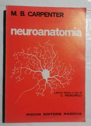 Neuroanatomia