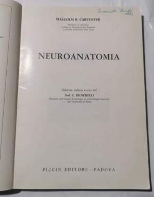 Neuroanatomia