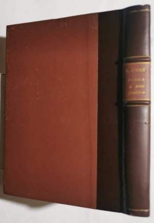 Poesia e non poesia - note sulla letteratura europea del secolo decimonono