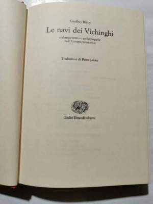 Le navi dei Vichinghi e altre avventure archeologiche nell'Europa preistorica