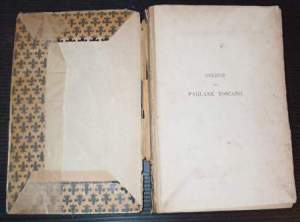 Delizie del parlare toscano Vol. I Lettere