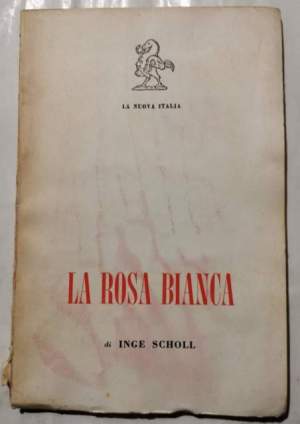 La rosa bianca