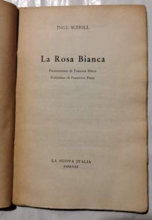 La rosa bianca