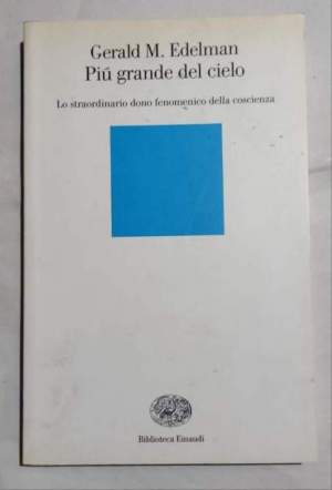 Piu'  grande del cielo : lo straordinario dono fenomenico della coscienza