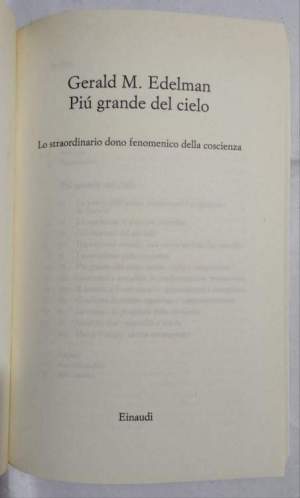 Piu'  grande del cielo : lo straordinario dono fenomenico della coscienza