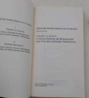 Storia del mondo islamico( VII-XVI secolo)e  (VII-XVI secolo). Il Vicino Oriente -  Il mondo iranico e turco (Vol. 2)
