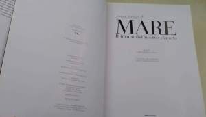 Mare. Il futuro del nostro pianeta. Ediz. illustrata