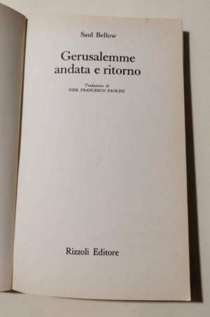 Gerusalemme: andata e ritorno - Commentario personale