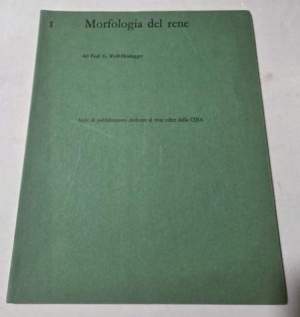 Morfologia del rene