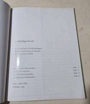 Morfologia del rene