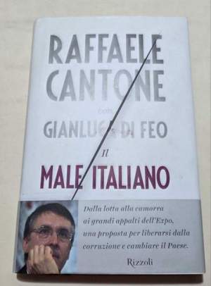 Il male italiano. Liberarsi dalla corruzione per cambiare il Paese