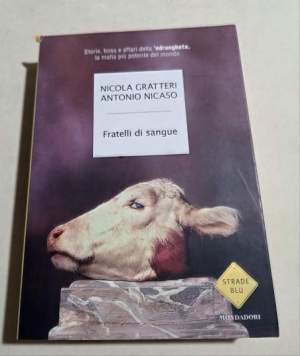 Fratelli di sangue. Storie, boss e affari della 'ndrangheta, la mafia più potente del mondo