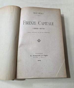 Firenze capitale ( 1865-1870 )