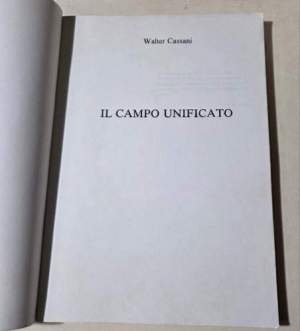 Il campo unificato
