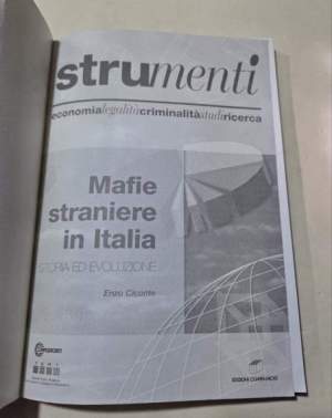 Mafie straniere in  Italia - Storia ed evoluzione