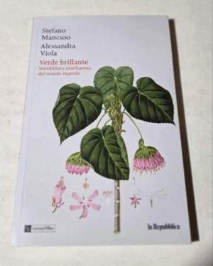 Verde brillante - sensibilita' e intelligenza nel mondo vegetale