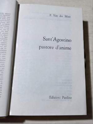 Sant'Agostino pastore d'anime
