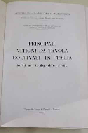 PRINCIPALI VITIGNI DA VINO COLTIVATI IN ITALIA 5 VOLL.  ( 1960 C.CA)