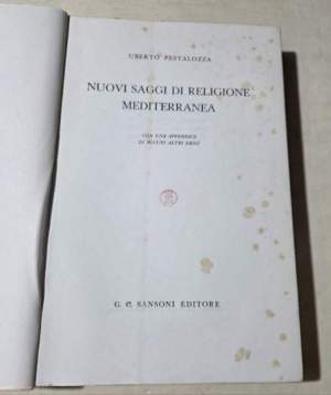 Nuovi saggi di religione mediterranea