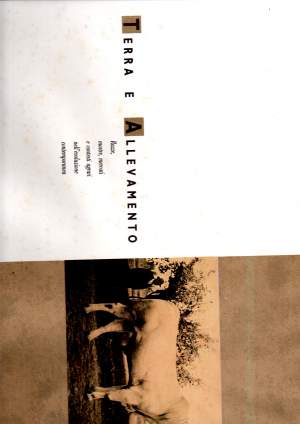 ALBUM DI FOTOGRAFIE RAPPRESENTANTI GLI ANIMALI PIU' PREGEVOLI DELL'ESPOSIZIONE AGRARIA TOSCANA FATTA ALLE R.R. CASCINE DI