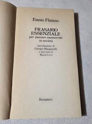 Frasario essenziale per passare inosservati in societa'