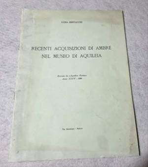 Recenti acquisizioni di ambre nel Museo di Aquileia