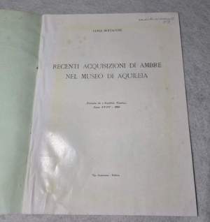 Recenti acquisizioni di ambre nel Museo di Aquileia