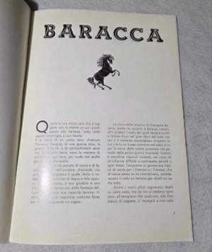 Francesco Baracca - Cavaliere del cielo