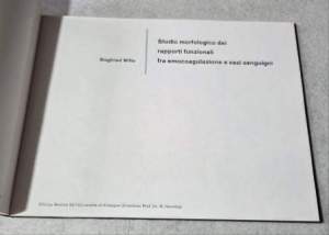 Studio morfologico dei rapporti funzionali fra emocoagulazione e vasi sanguigni