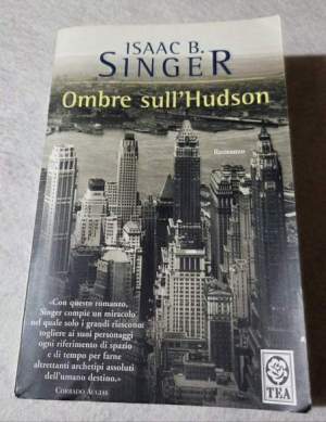Ombre sull'Hudson