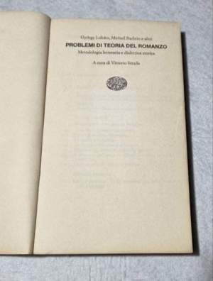 Problemi di teoria del romanzo