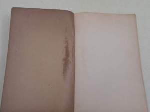 I poeti romani della seconda metà del secolo XIX