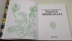 Il grande libro delle piante medicinali