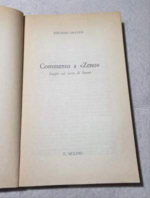 Commento a " Zeno" - Saggio sul testo di Svevo